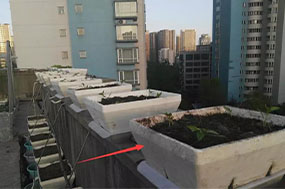 泡沫箱種菜的使用壽命,可能會超出你的想象