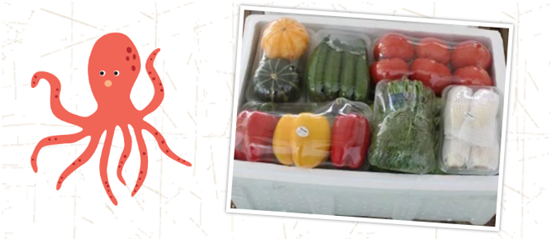 大嶺山EPP定制廠家 大嶺山EPP定制廠家