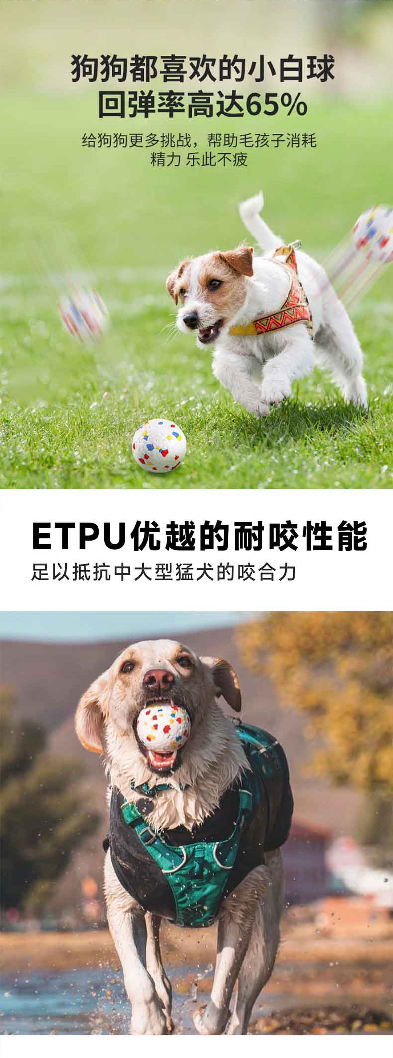 1765446263616152.jpg 實心寵物球_05.jpg